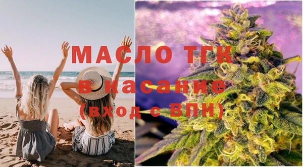 сатива Михайловка
