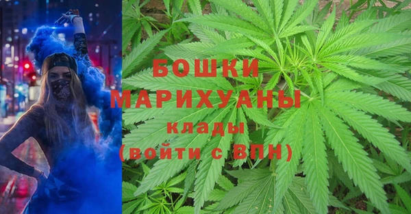 сатива Михайловка