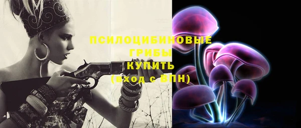 сатива Михайловка