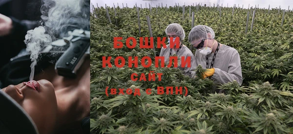тгк Михайлов