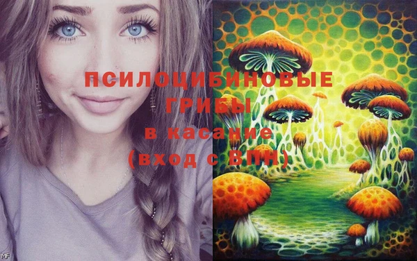 сатива Михайловка