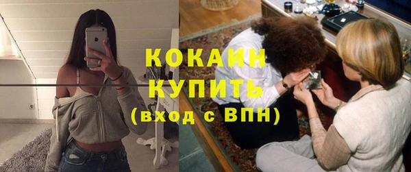 тгк Михайлов